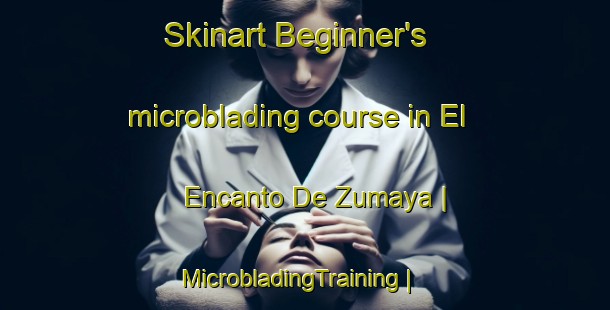 Skinart Beginner's microblading course in El Encanto De Zumaya | MicrobladingTraining | MicrobladingClasses | SkinartTraining-Mexico